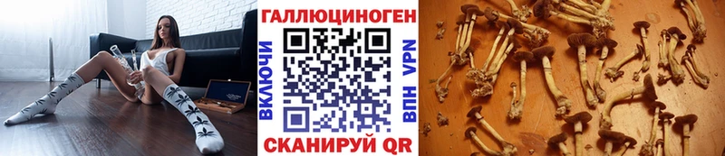 Псилоцибиновые грибы прущие грибы  Купить закладки  Уфа 